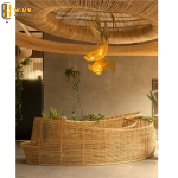 Cá Chép Đuôi Khung