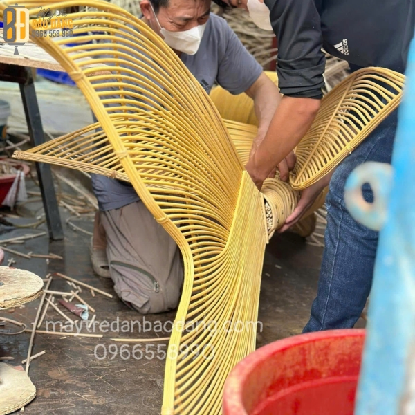 Cá Chép Đuôi Khung